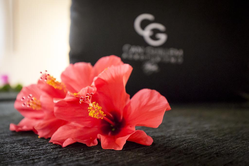 Agroturismo Can Guillem Can Furnet Phòng bức ảnh